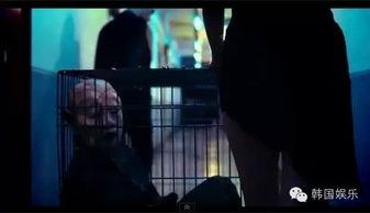 国产19禁视频,揭秘国产19禁视频的隐秘世界