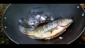 国产野生小型鱼类视频,视频中的生态画卷