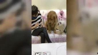 国产援交学生视频,黑暗背后的真实故事