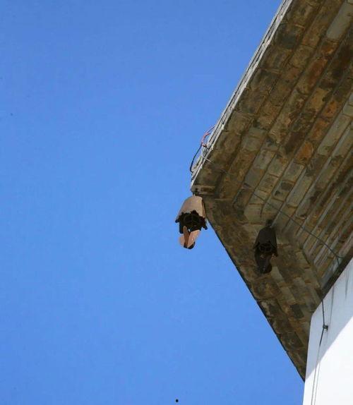 国产白帝底座加固视频